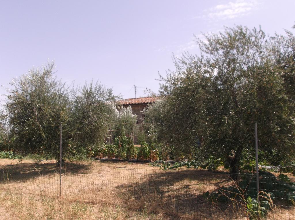 Locazione Turistica Ex Le Casette Di Cedromonte *